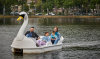 Gezin vaart op het water in een bootje in Plaswijckpark