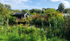 Tuinhuisje in heel veel groen