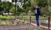 Kijken naar de moestuin
